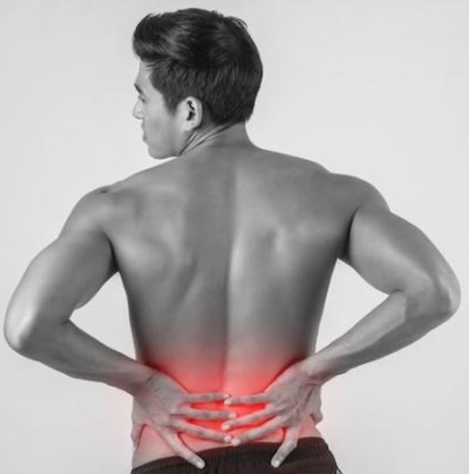 Gambar 1. Area low back pain pada tubuh manusia